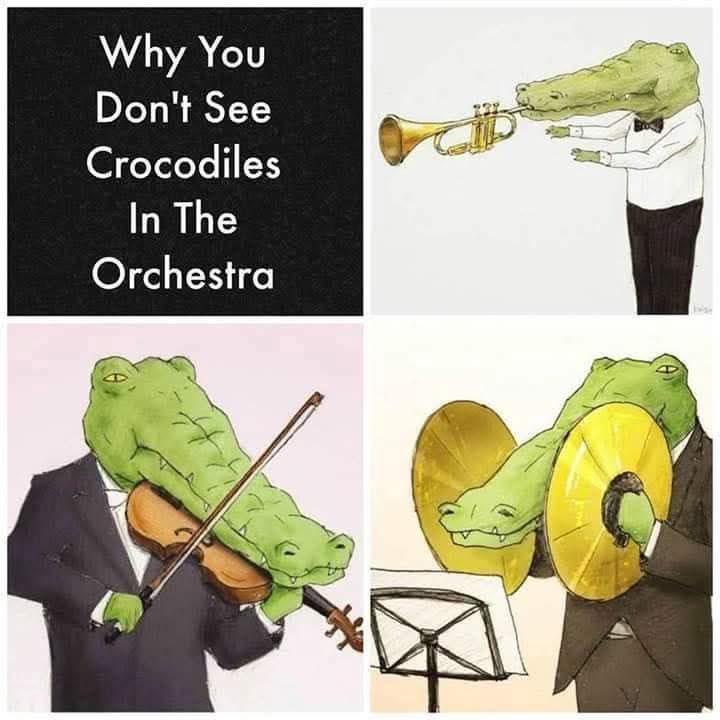 vogmusicacademy's tweet image. Don't be a Crocodile 🐊 - Come and join our Orchestra! 🎶🎺🎻🥁
Free trials available until the end of this term!
Wednesdays 18:30-20:00 at St Andrews Major CiW Primary School
#valeofglamorgan #orchestra #education #ensembles #musicforall #music #VoGMA #musiceducation