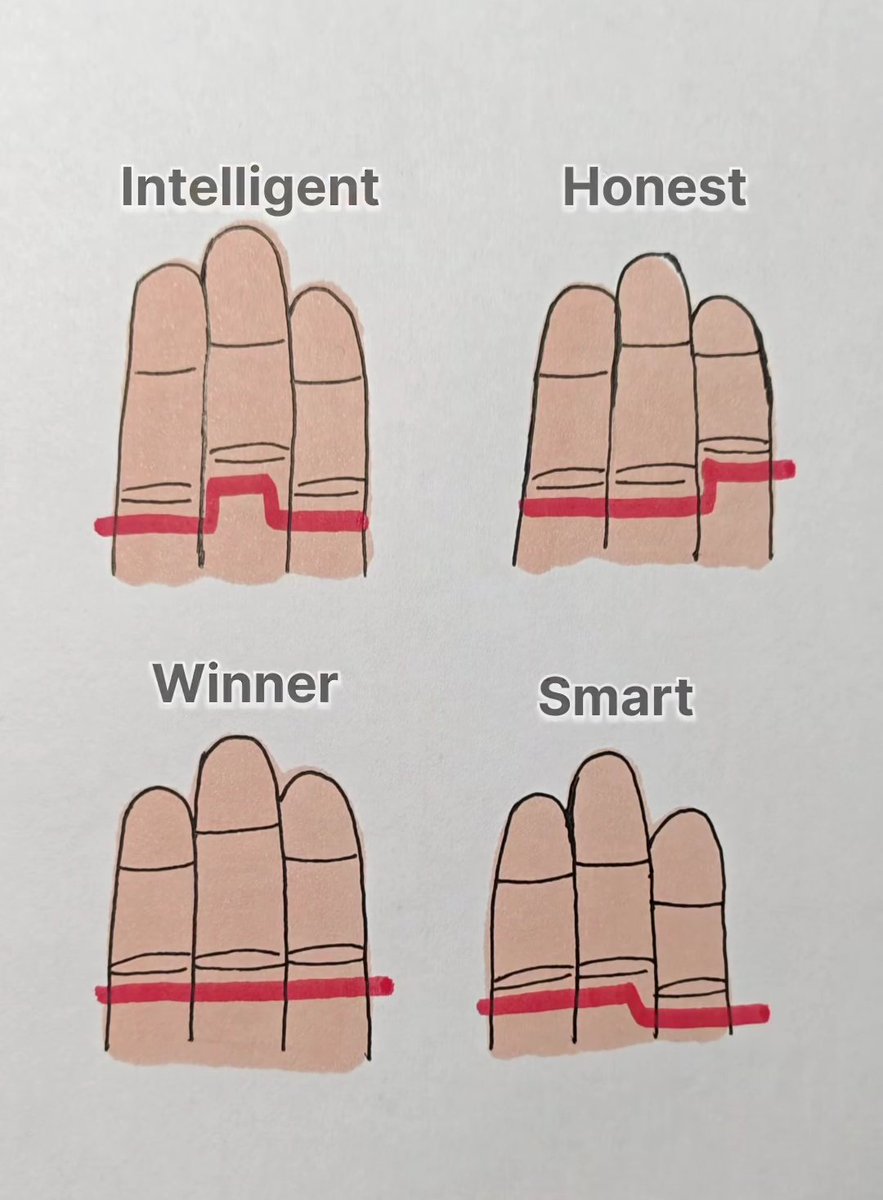 🅰🅻🅴🆇 👨🏽‍💻 tweet media