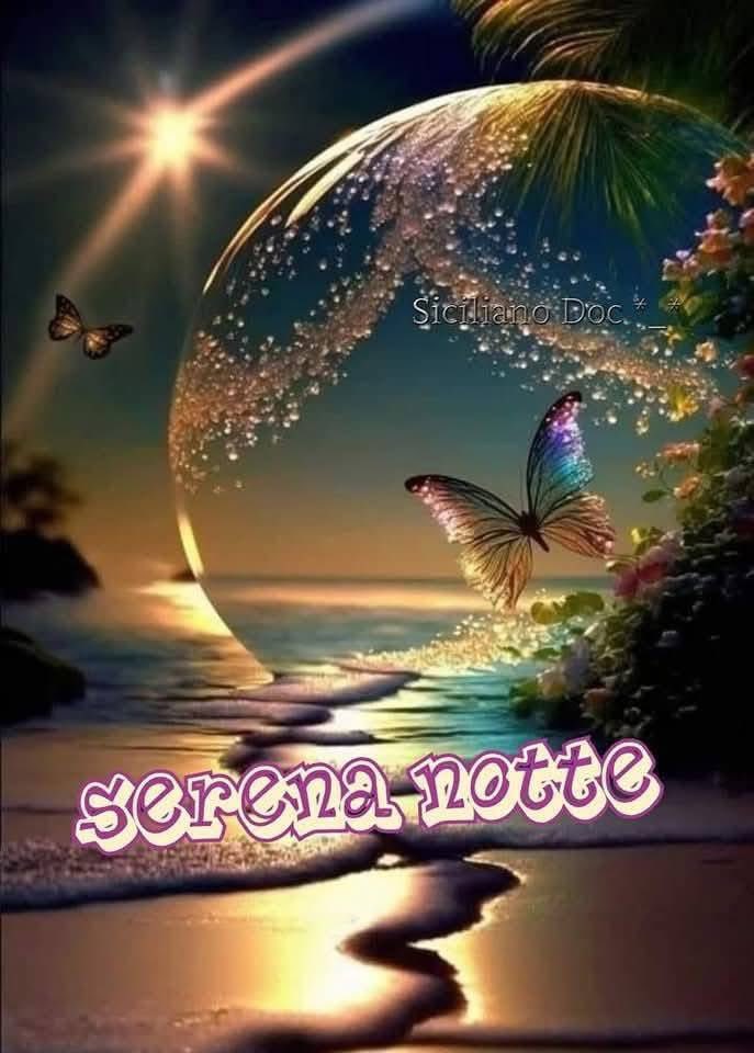 RITABIANCHi56 tweet media