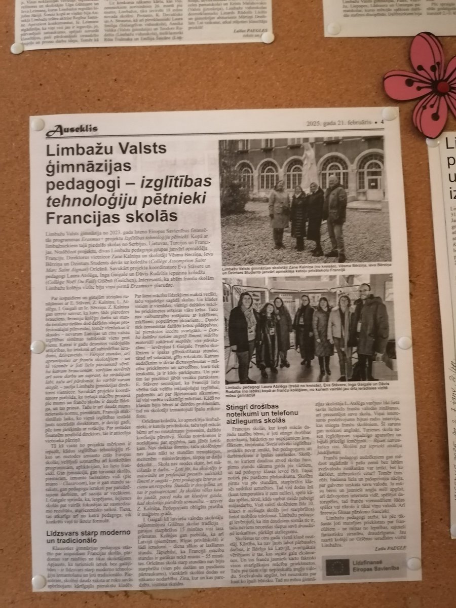 NOEL DU FAIL tweet media