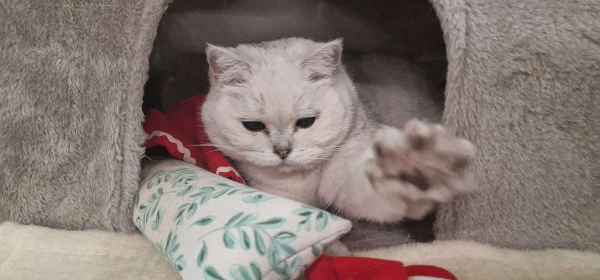 Rede mit der Hand, zuhören werde ich dir erst wenn du mir zeigst das ich es dir Wert.