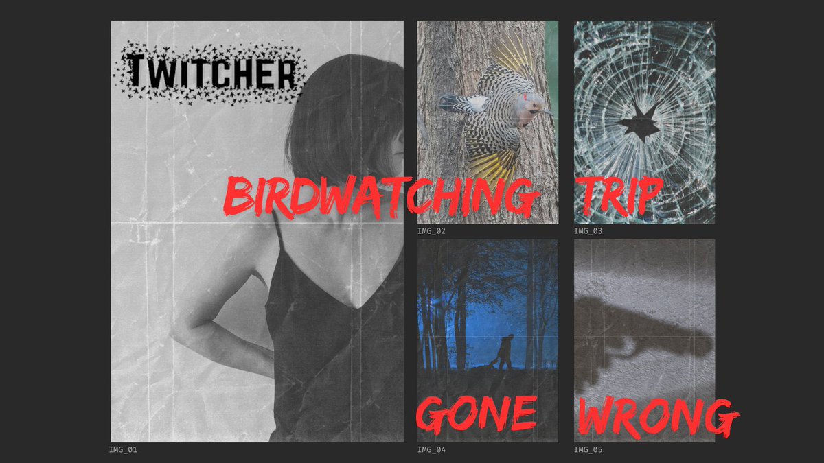 MelaniRedmiles's tweet photo. #LuckyPit #PopUpPitA #A #F
After losing her brother and falling out with her best friend Allison, Melissa seeks refuge at her old bird-watching cabin in South Carolina. But when she witnesses  a murder, she's forced to run—wondering if fate has finally caught up with her. https://t.co/OTD8xt4V1v