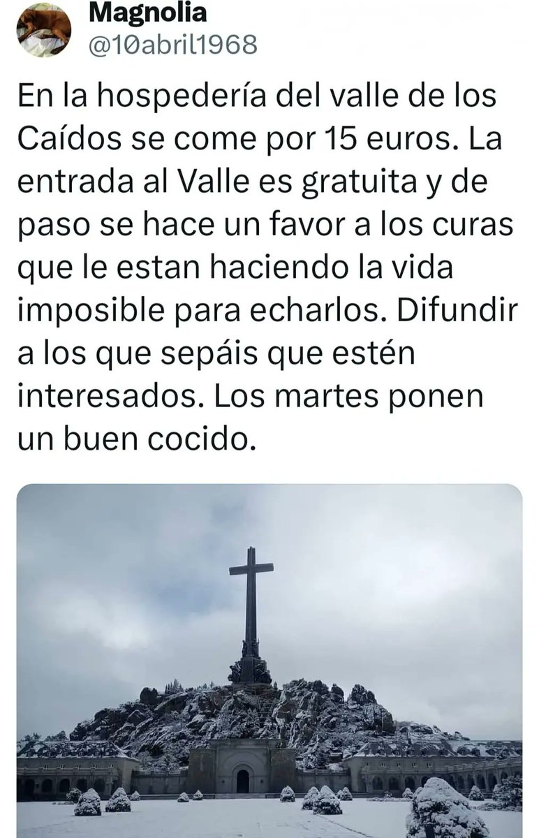 Santiago Soler Bernabéu (@bernabeu_soler) on Twitter photo 