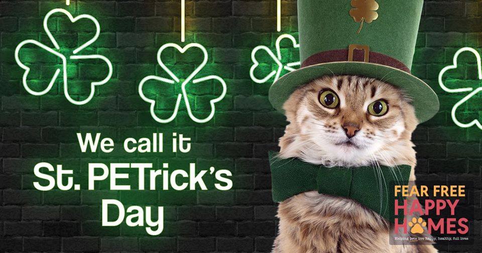 BMAH121's tweet image. We call it St. PETrick's Day!  bmvet.com  #BMAH #Veterinarians #FearFreeProfessionals #fearFreeHappyHomes