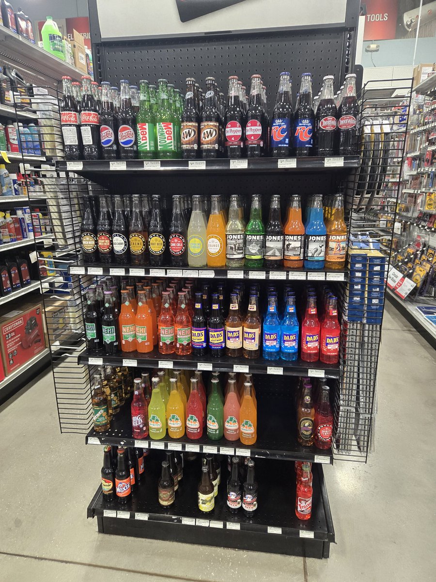 BERRYBIRD.SOL🥝 tweet media