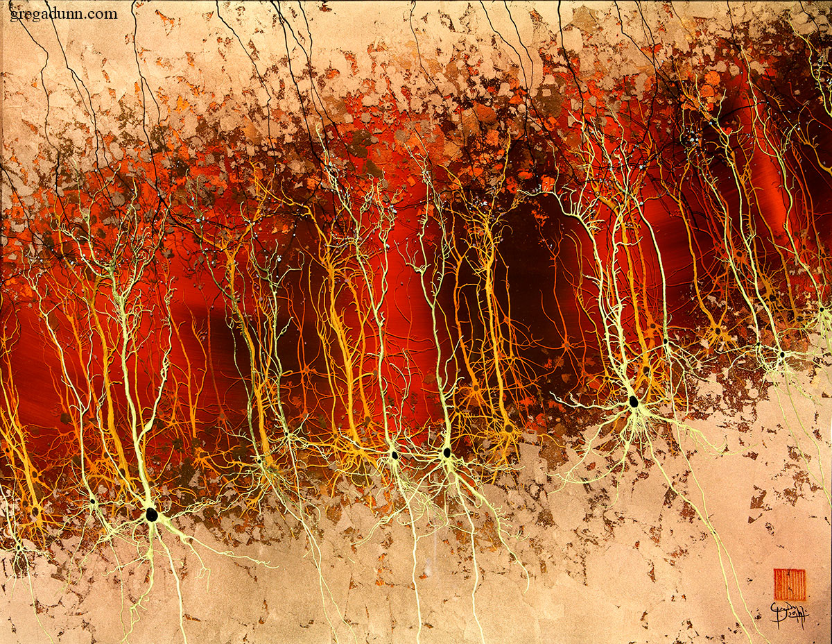 The painting Cortex in Red and Gold, an artistic portrayal of cortical pyramidal neurons in 22K gold and dyed stainless steel. Prints available on my site: shorturl.at/SHrqi

#artsci #sciart #cortex #brain #psych #neurology #neuroscience