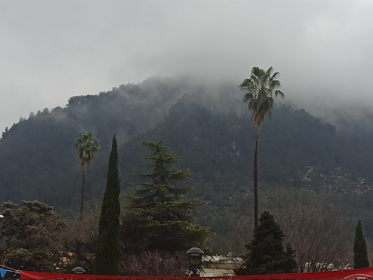 De vesprada, arribava a #Xàtiva i iniciava la 🚶🏻‍♂️ per la Falla Corts Valencianes.. La comissió ha apostat pel cadafal pujant a Sec 1ª realitzada per l' 👨🏻‍🎨 <a href="/XavierHerrero/">Xavier Herrero</a> i la infantil a Secció 3ª per l' 👨🏻‍🎨 Xavier Ureña....l'oratge era amenaçant. #Falles2025 #Costera #Falles #Art