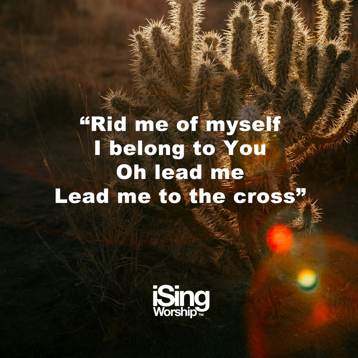 Another lovely song (2006) by Brooke Ligertwood. “Indeed, I count everything as loss because of the surpassing worth of knowing Christ Jesus my Lord.” (From Philippians 3.8, ESV). Also see 1 Peter 2.24.

‘Lead Me To The Cross’ is now available on the iSingWorship app.