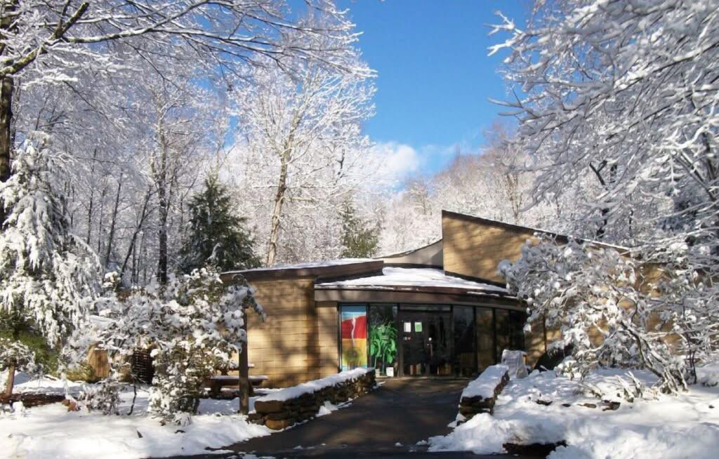 MUSEUM #100!!!

I am very excited to share that the Institute for American Indian Studies in Washington, CT is going to permanently curate the original plate "Up To The Creator" with my dear friend Duane McGillis (Holy Man), Turtle Mountain Band of Chippewa.