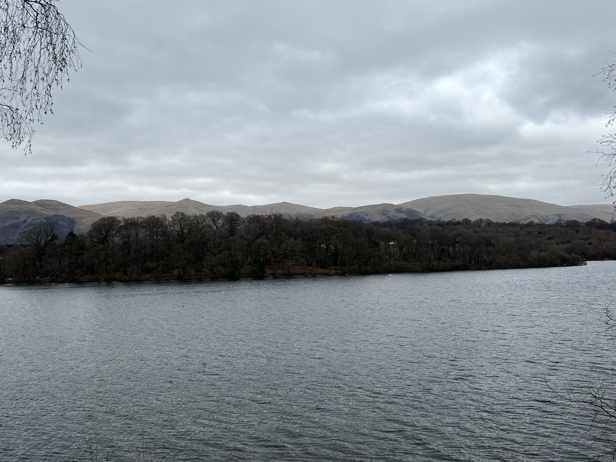 Virtual Headteacher (@clacksvirtualht) on Twitter photo Some brilliant #TeamWork in action at VHT #OutdoorEducationExperience today at Gartmorn Dam with <a href="/ClacksCLD/">Clackmannanshire CLD</a> Gareth, Support Worker Anne, <a href="/MrsP_alloaacad/">Mrs Paterson</a> and the fab #Cohort3
Sโmores, reflections, discussion and some work towards the Junior Forestry Award #ImprovingOutcomes Some brilliant #TeamWork in action at VHT #OutdoorEducationExperience today at Gartmorn Dam with <a href="/ClacksCLD/">Clackmannanshire CLD</a> Gareth, Support Worker Anne, <a href="/MrsP_alloaacad/">Mrs Paterson</a> and the fab #Cohort3
Sโmores, reflections, discussion and some work towards the Junior Forestry Award #ImprovingOutcomes