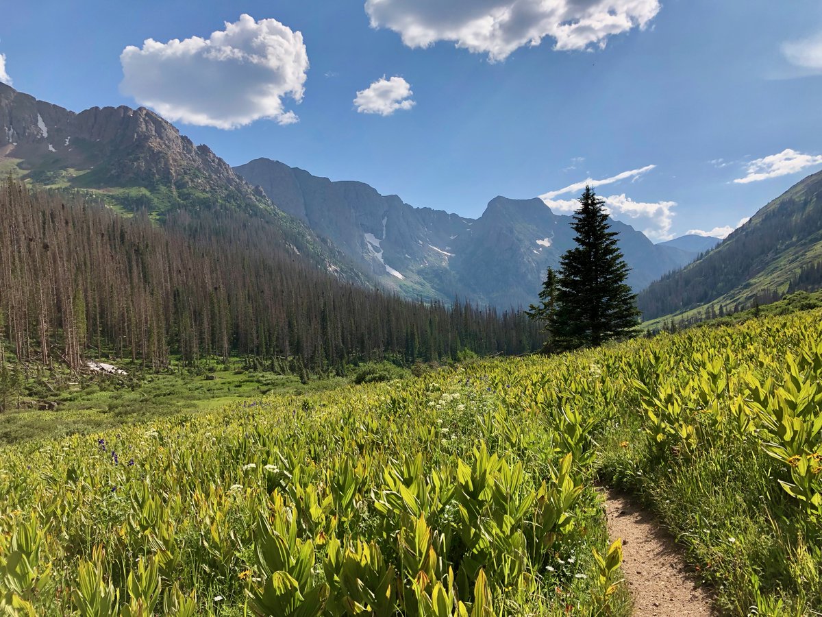 DU_Biophysics's tweet image. Still accepting PhD applications to the Molecular and Cellular Biophysics Program at DU for the Fall 2025 -- contact Director Michelle Knowles for more information!