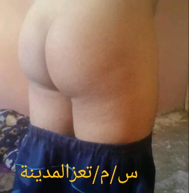 الفحل المزبب الجاد الكاش الدفيع بتعز المدينة يخش خاص نتفق