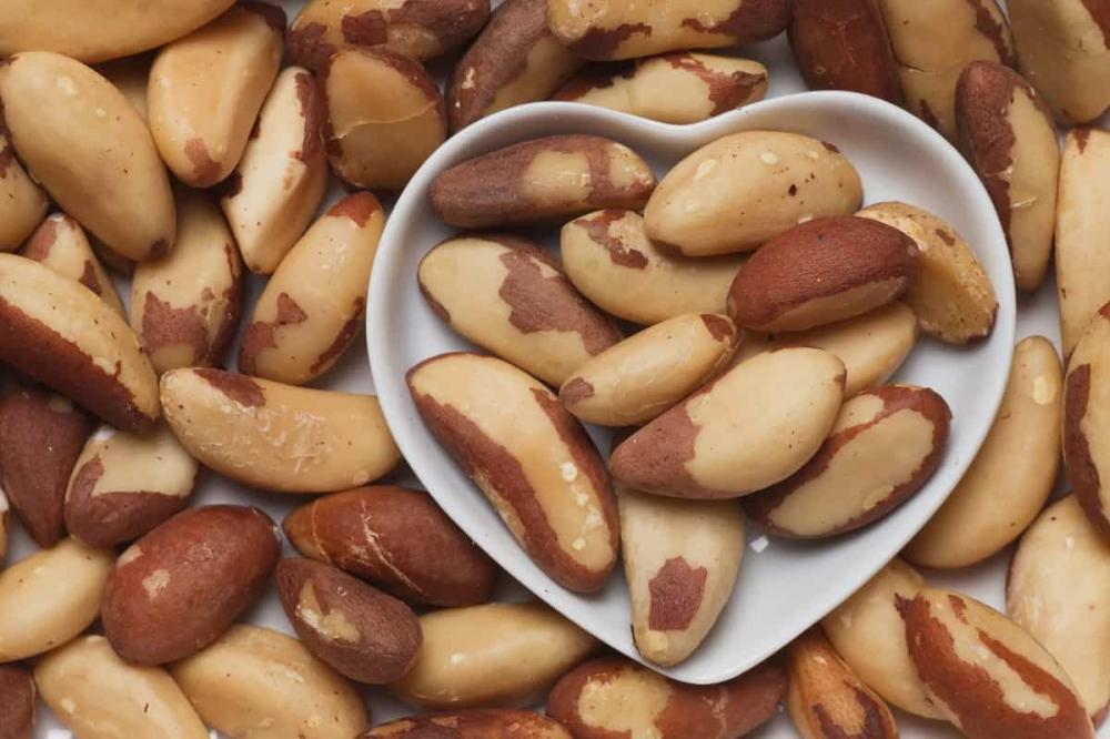 arabaltmed's tweet photo. كل 100 غرام من جوز البرازيل فيه حوالي 376 ملغ من المغنيسيوم، أي ما يعادل 94% من الكمية اليومية الموصى بها.
كما أنه مصدر غني بالسيلينيوم، حيث توفر كل 100 غرام 2739% من الكمية اليومية الموصى بها
كما أنه غني بالنحاس والفوسفور والمنغنيز والزنك والبوتاسيوم وفيتامينات متنوعه

كم ثمنه؟ https://t.co/F2opMvPPOs