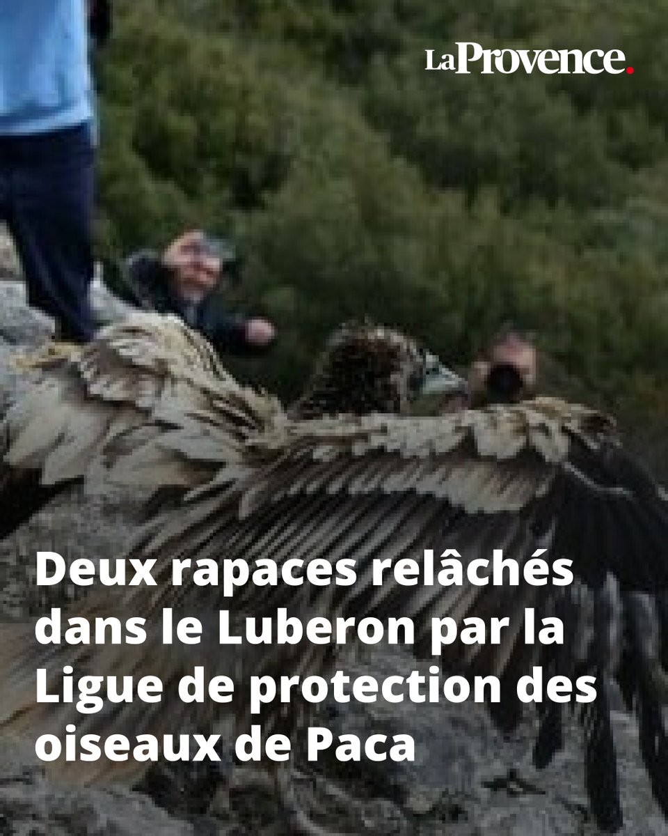 Libéré, délivrééé !  👉 l.laprovence.com/NTSs