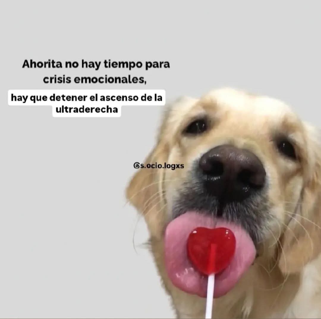KatikMacas's tweet image. Prioridades
#NoboaNuncaMás