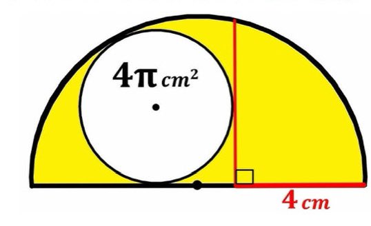 yellow shade area?