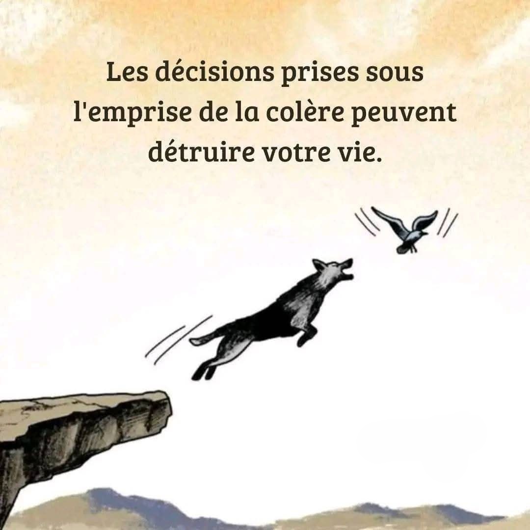 Sagesse Pure tweet media