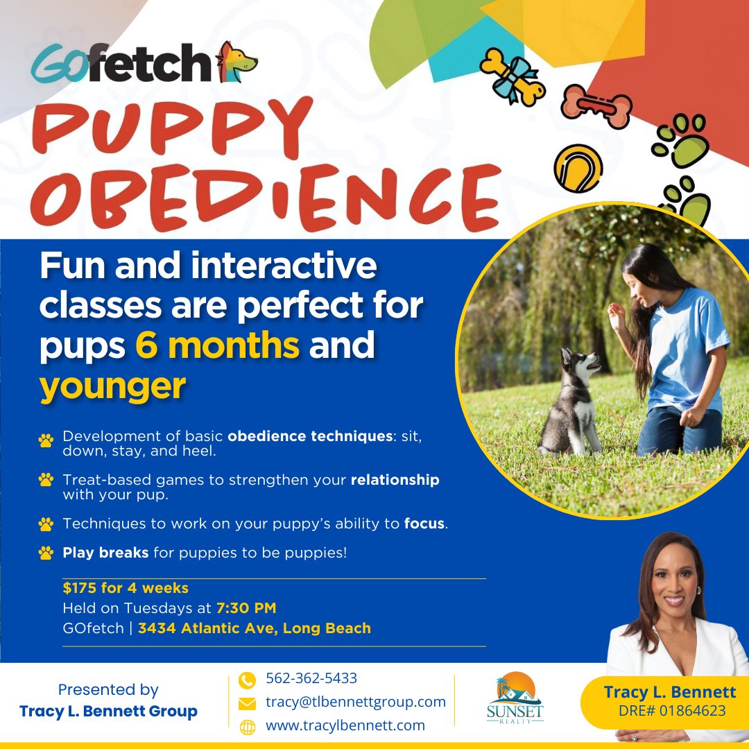 tlbennettgroup's tweet image. Attention Long Beach Dog Lovers! 

These fun and interactive classes are perfect for pups 6 months and younger, focusing on training, socialization, and good behavior.  Space is limited—only 8 dogs per class, so don’t wait to sign up for the next session!

#LongBeach #Gofetch