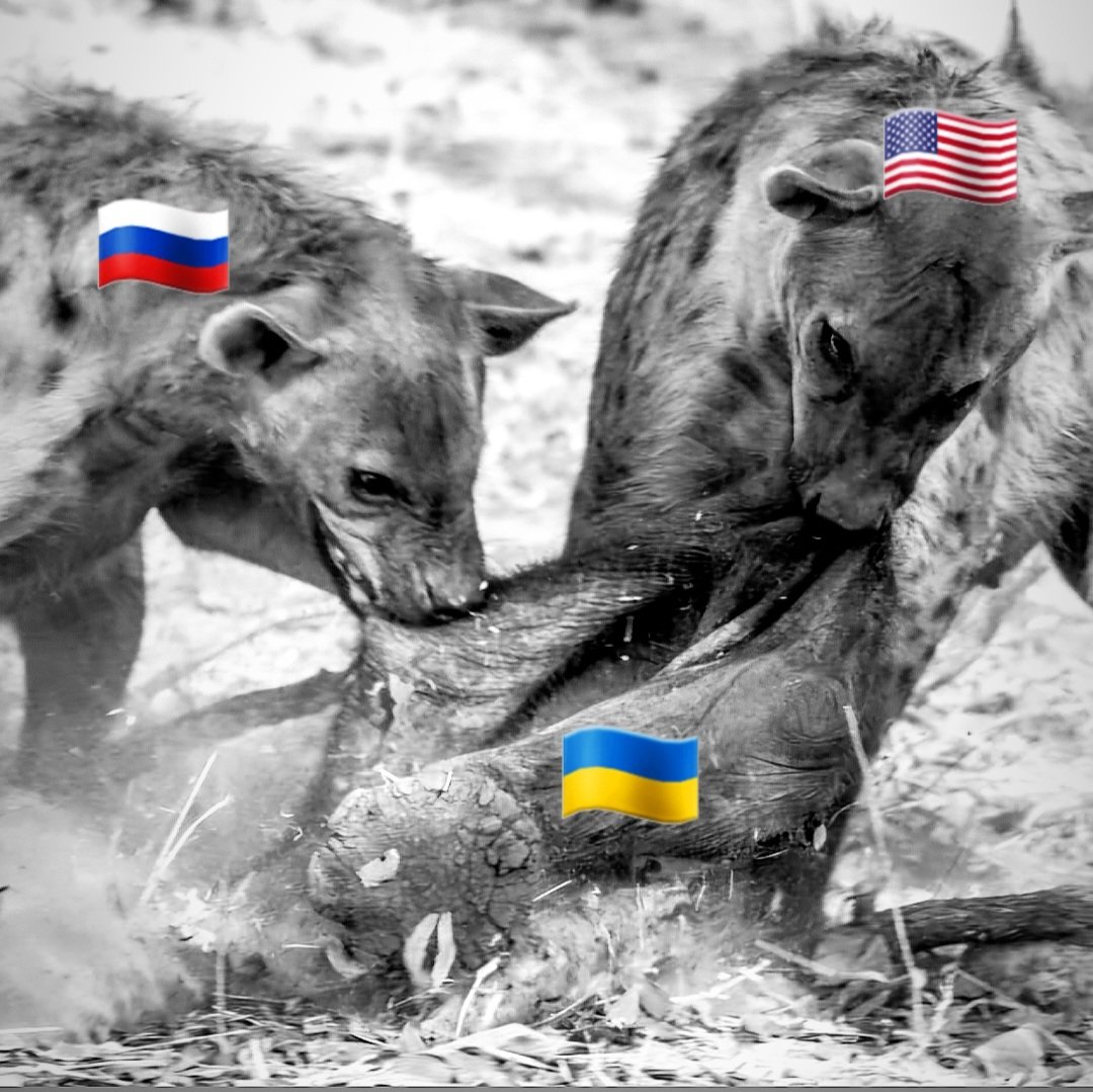 Friedensgespräche
(Symbolbild)