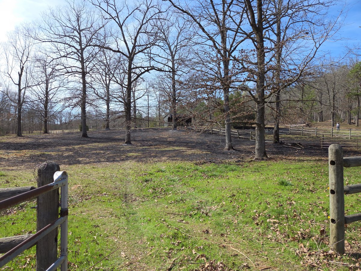 PulaskiAR's tweet photo. 🚨Emergency Alert 🚨
The Pulaski County Office of Emergency Management, along with several fire departments, is currently dealing with a fire in North Pulaski County. The windy conditions are exacerbating the situation. https://t.co/PIHQhFh5QH