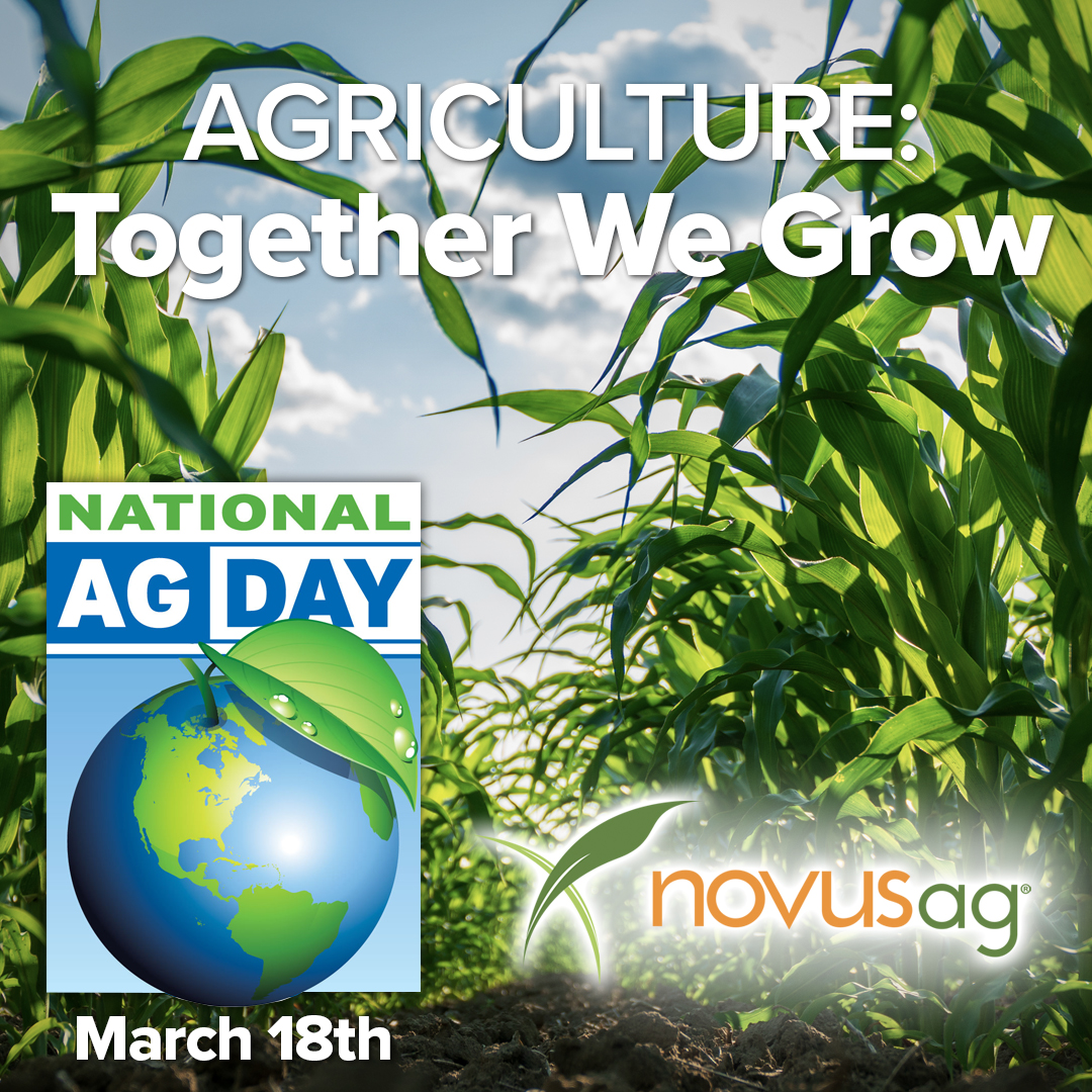 March 18th is National Ag Day and Novus Ag would like to celebrate and thank all of those who contribute to the bounties of US Agriculture. Happy National Ag Day!
#agday2025 #agriculture #novusag #america #freedom #sustainablefarming