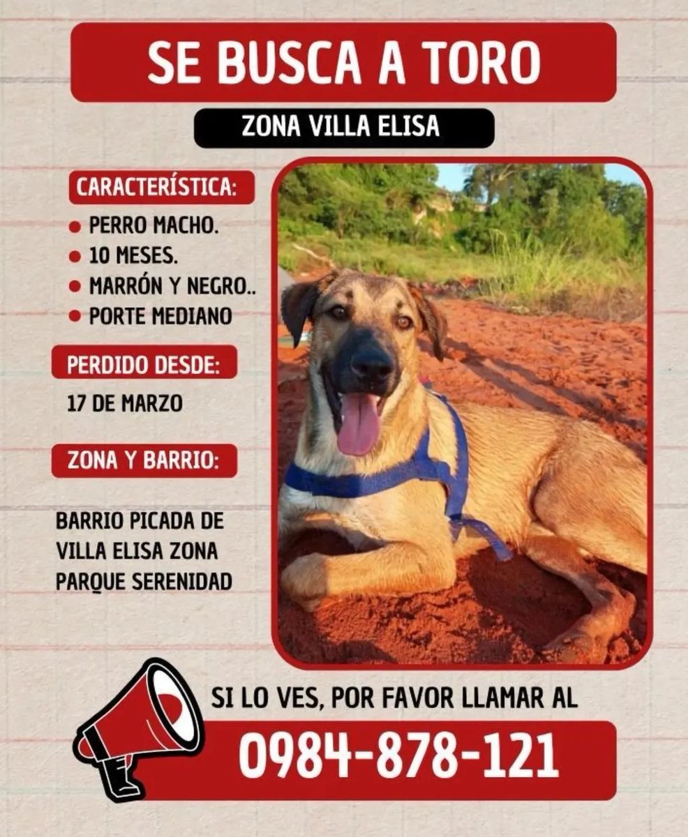 mariannojeda's tweet photo. Atención zona Villa Elisa,  si le viste por favor avisa a su Familia.  Y, por favor RT https://t.co/zAFUUvgDni