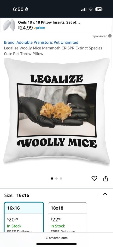 This is insane. 🤣🤣🤣