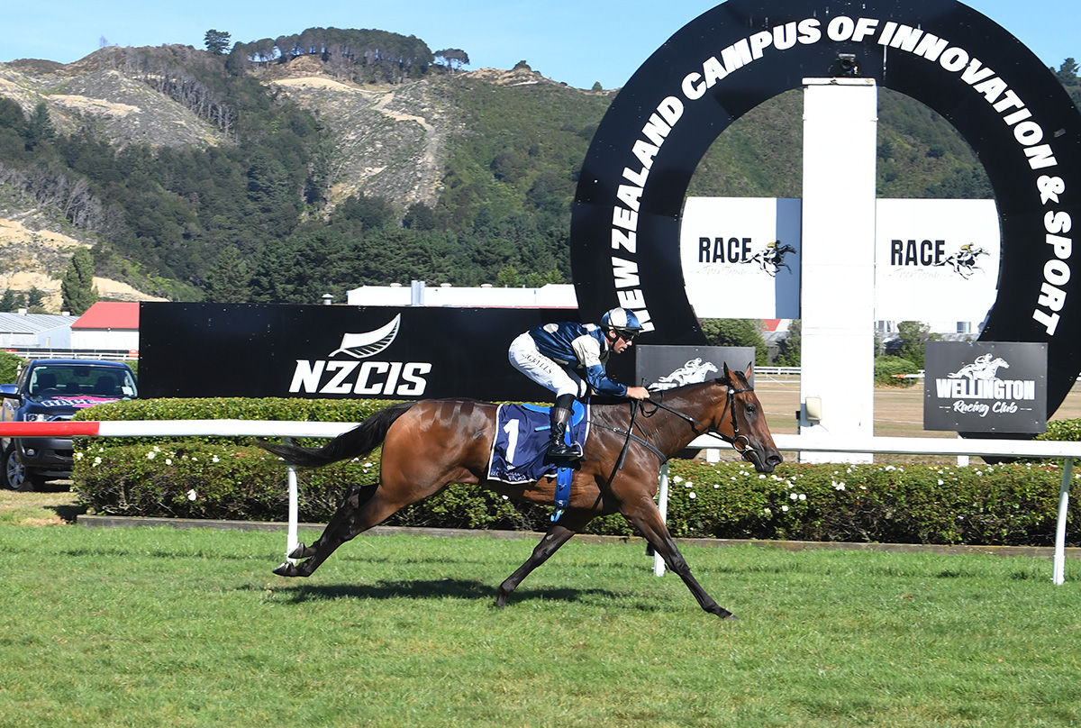 “We knew we had a good horse, but you don’t expect everything to go right all the time and it just has. It’s been an incredible climb, you don’t usually get that with a horse but she’s just one out of the box.

READ: jointheaction.co.nz/news/last-kiwi…