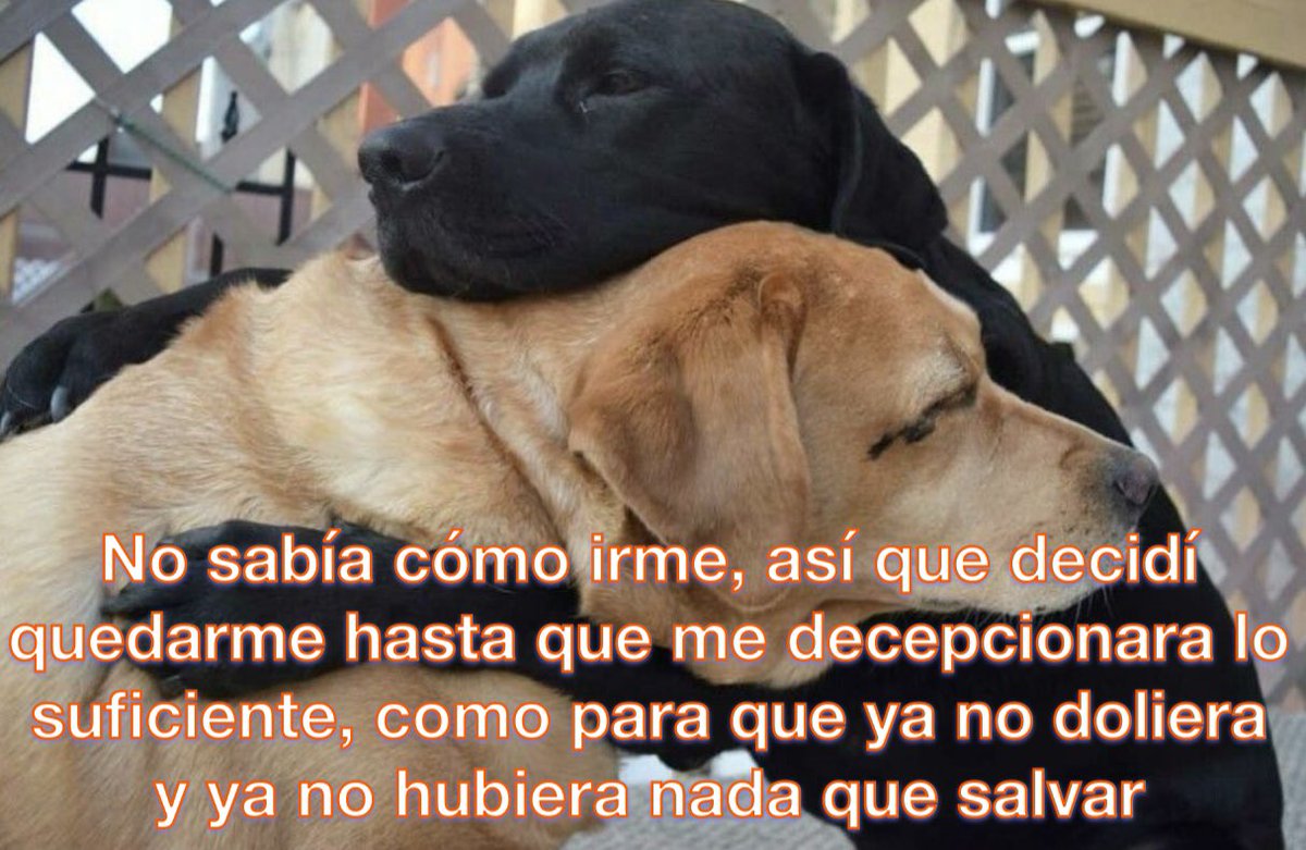 conoloracigarro's tweet photo. https://t.co/Ho51WdEqB8