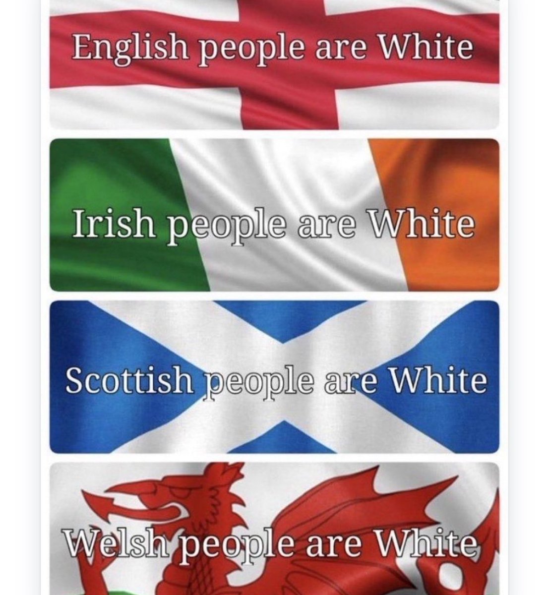 Canadian Patriot tweet media