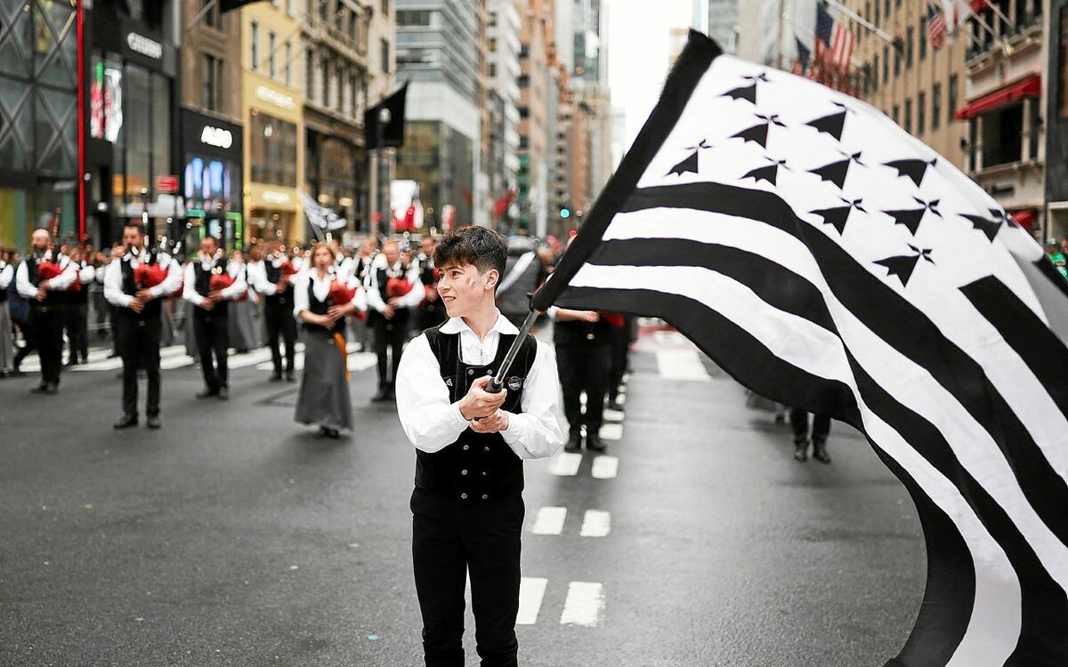 Le Télégramme tweet media