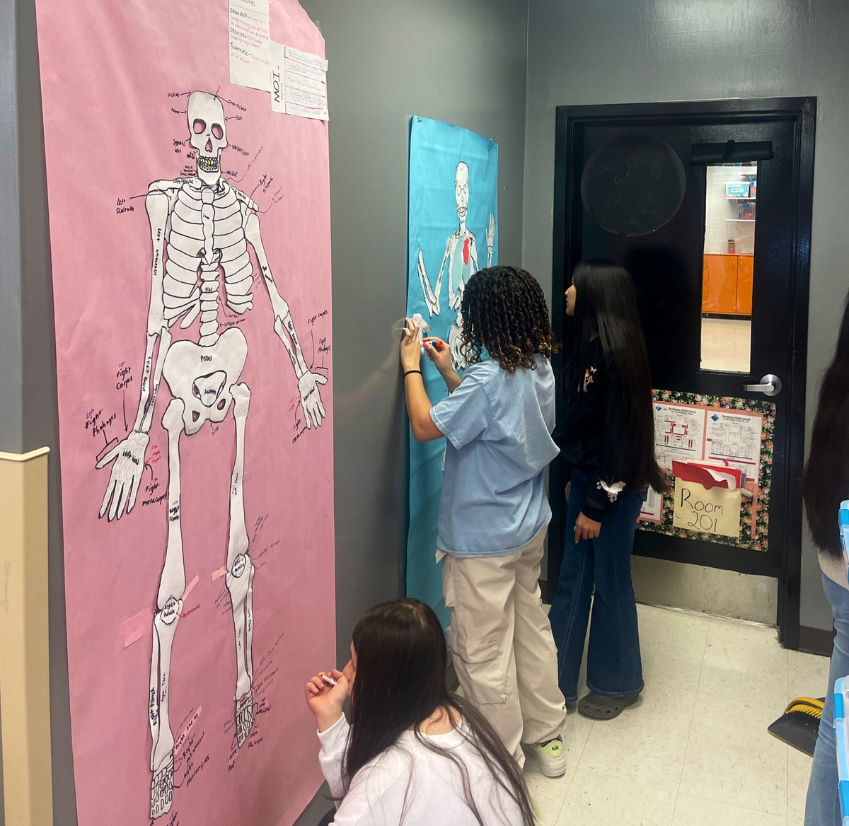 explorekammerer's tweet photo. Our future “medical practitioners” are focusing on the skeletal system - check out the creative ways they have chosen to show what they know!@KammererCubs @ExploreJCPS @Ballard_AofL @SolutionTree @JCPSKY https://t.co/rvQlIuGQYq