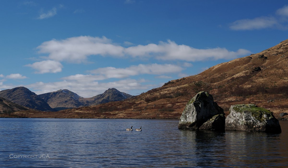 JamesAikman8's tweet photo. Loch Arklet and the Arrochar Alps on Sunday, beautiful clear day on the verge of spring with several pairs of Canada geese on the loch.
@StormHour https://t.co/pymKlyfAtp
