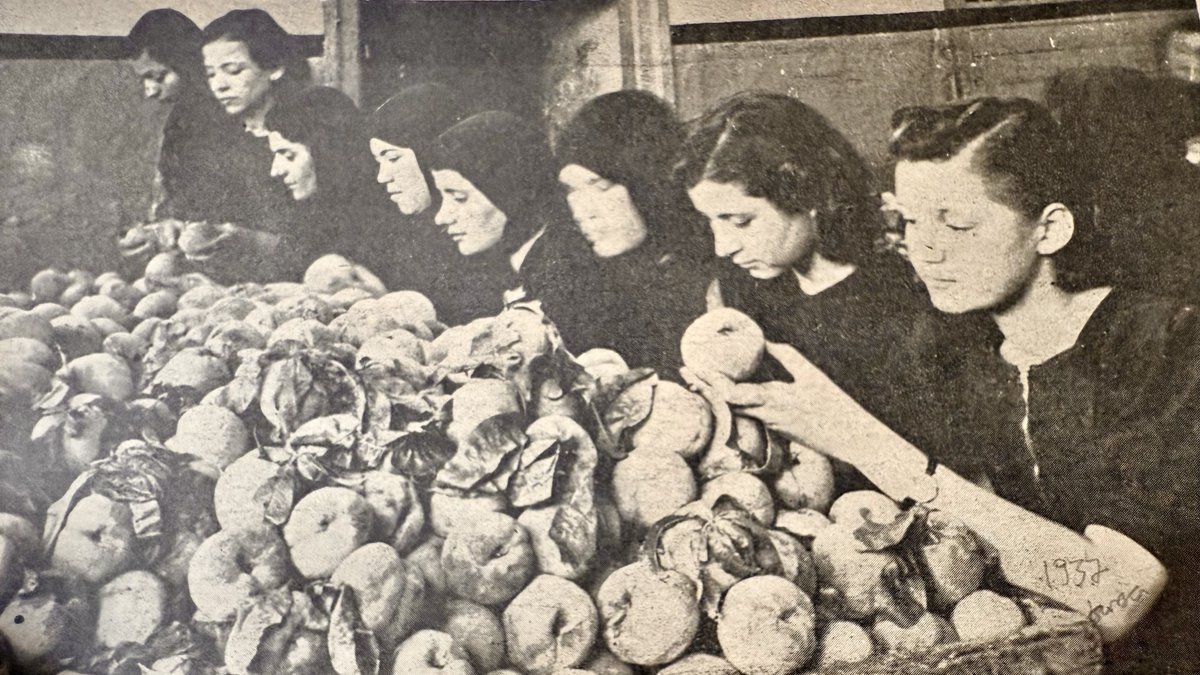 ceyhunirgil's tweet photo. Bursa Çekirge, Acemler,
1937 Çekirge yolu
ve 1937 konserve fabrikası işçileri
.
#BursaTarih #BursaMiras #BursaBellek #BursaMüze #TarihteBugün #Müze #KentTarihi #Arşiv #Bursa @bursabuyuksehir @uludagkurumsal @BUUTipFakultesi @BursaValiligi @Bursa_Okulu @kultursanatbbb @BursaKentKonsey