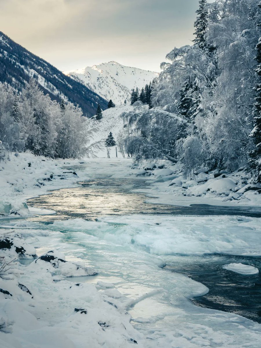 TTO35408943's tweet image. #PhotographyAndTravel #Kanas #MyAltay