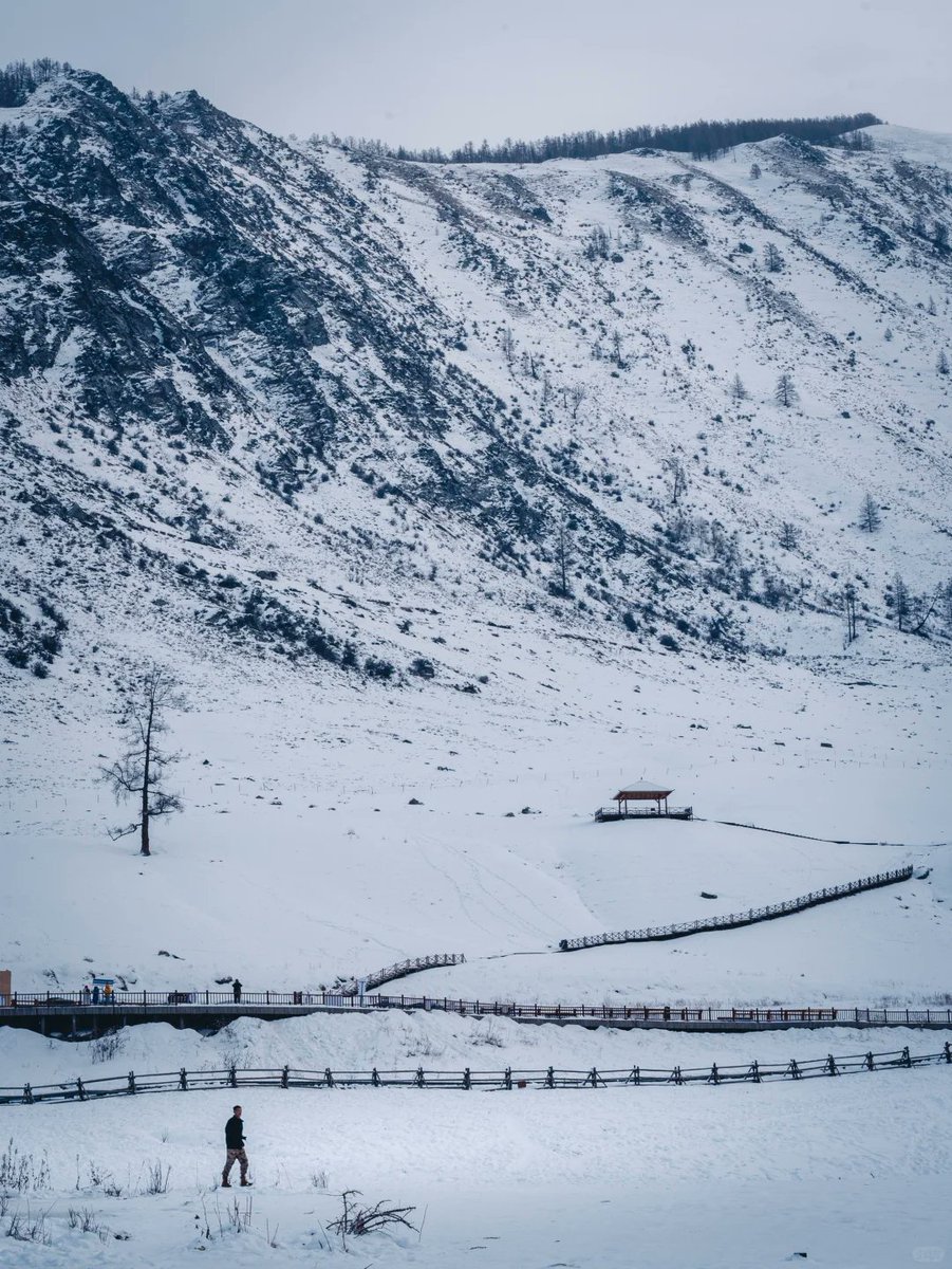 TTO35408943's tweet image. #PhotographyAndTravel #Kanas #MyAltay