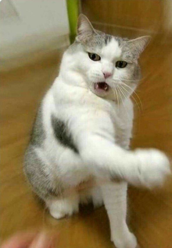 CelineAndC's tweet image. Cómo vas a llamarle pareja a un 4busador