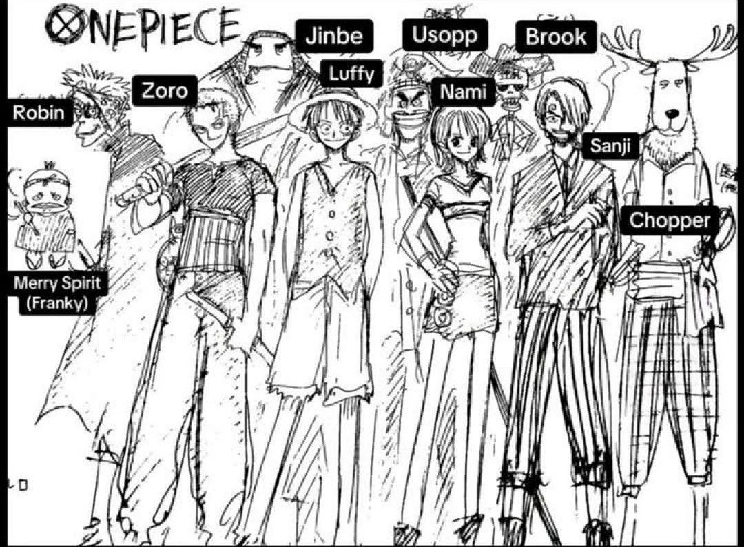 One Piece Daily tweet media