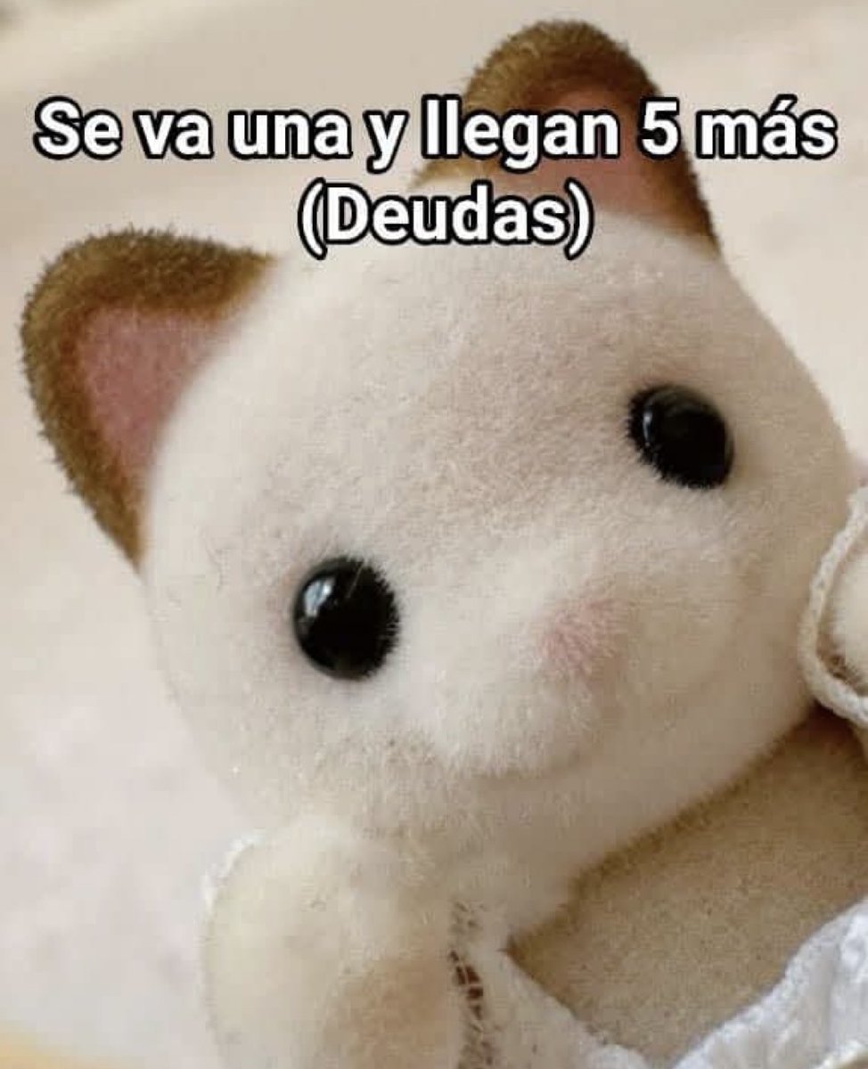 Guarromantico_'s tweet photo. Asies. https://t.co/FpNvHA6YqB
