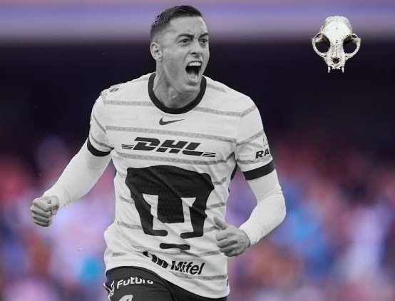 🔸El Tío Alex Auriazul 🔸 tweet media