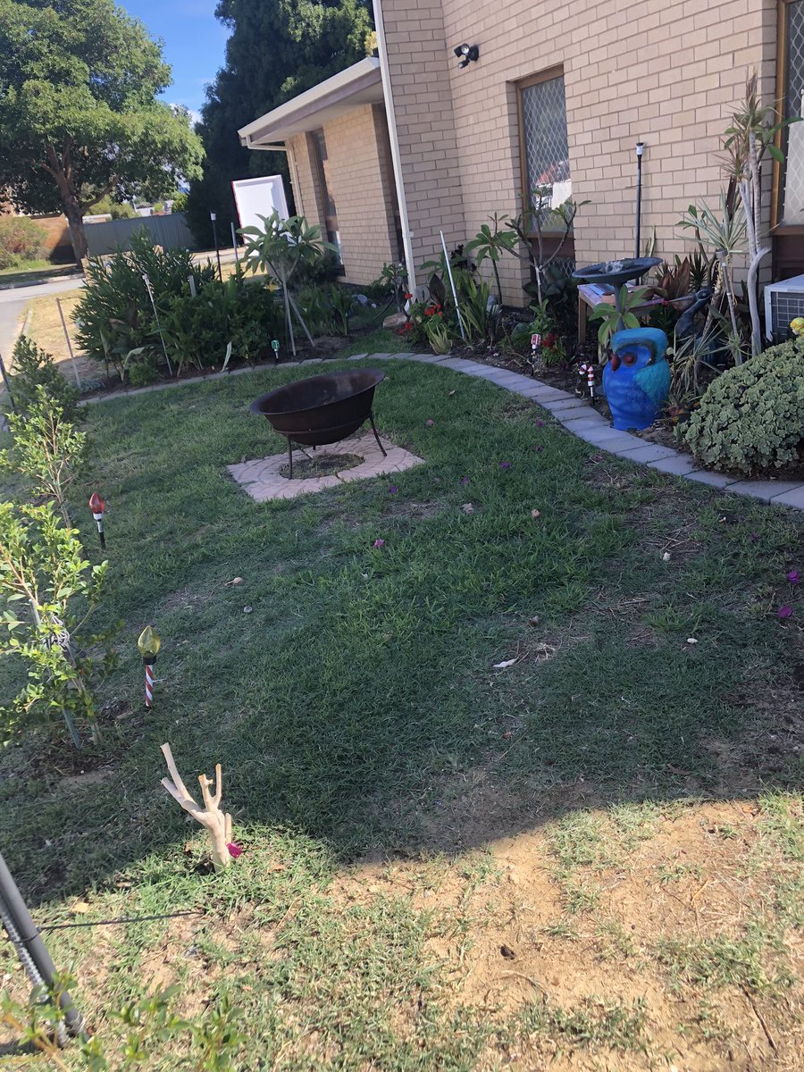 PatsyannHacket1's tweet photo. Photos of my garden https://t.co/bYceoV8Jia
