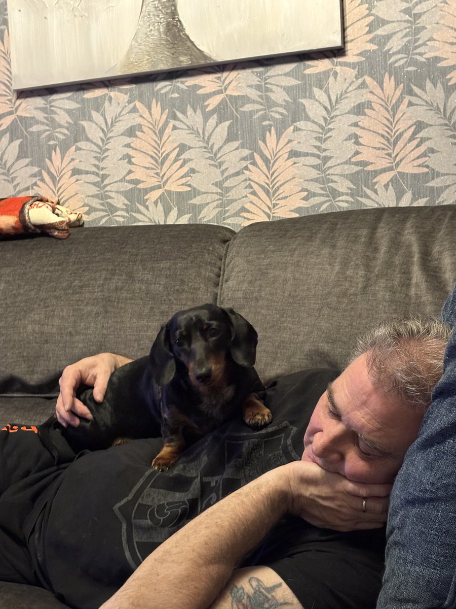 CSausagedogs's tweet image. 