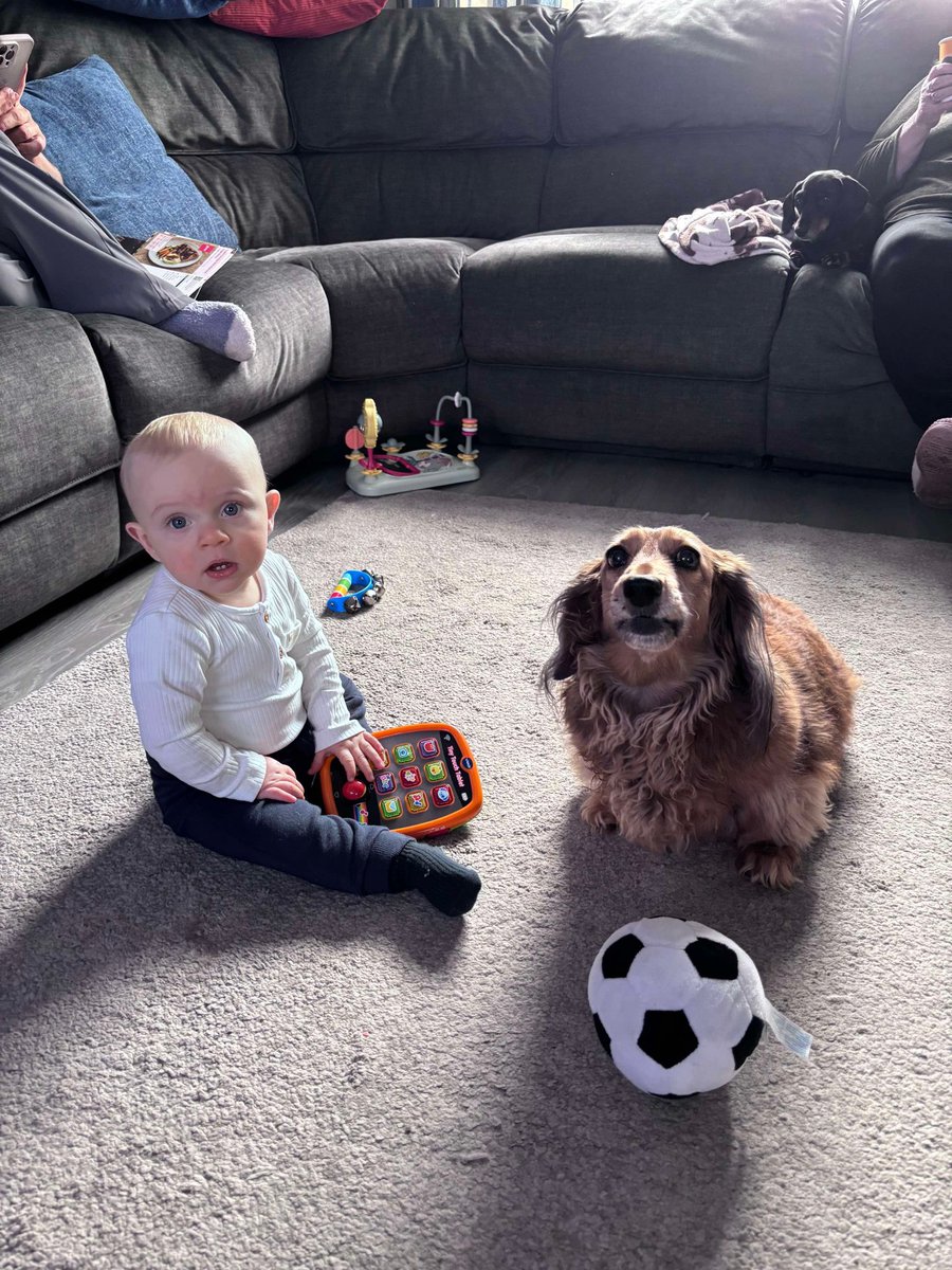 CSausagedogs's tweet image. 