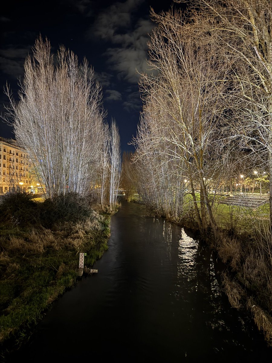 SkyL49's tweet photo. Paseando de noche. ✨ https://t.co/zWyAKSEtM3