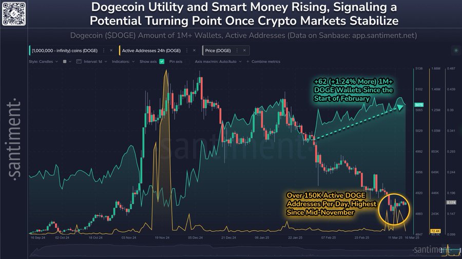 Dogecoin active addresses surge amid market shift.