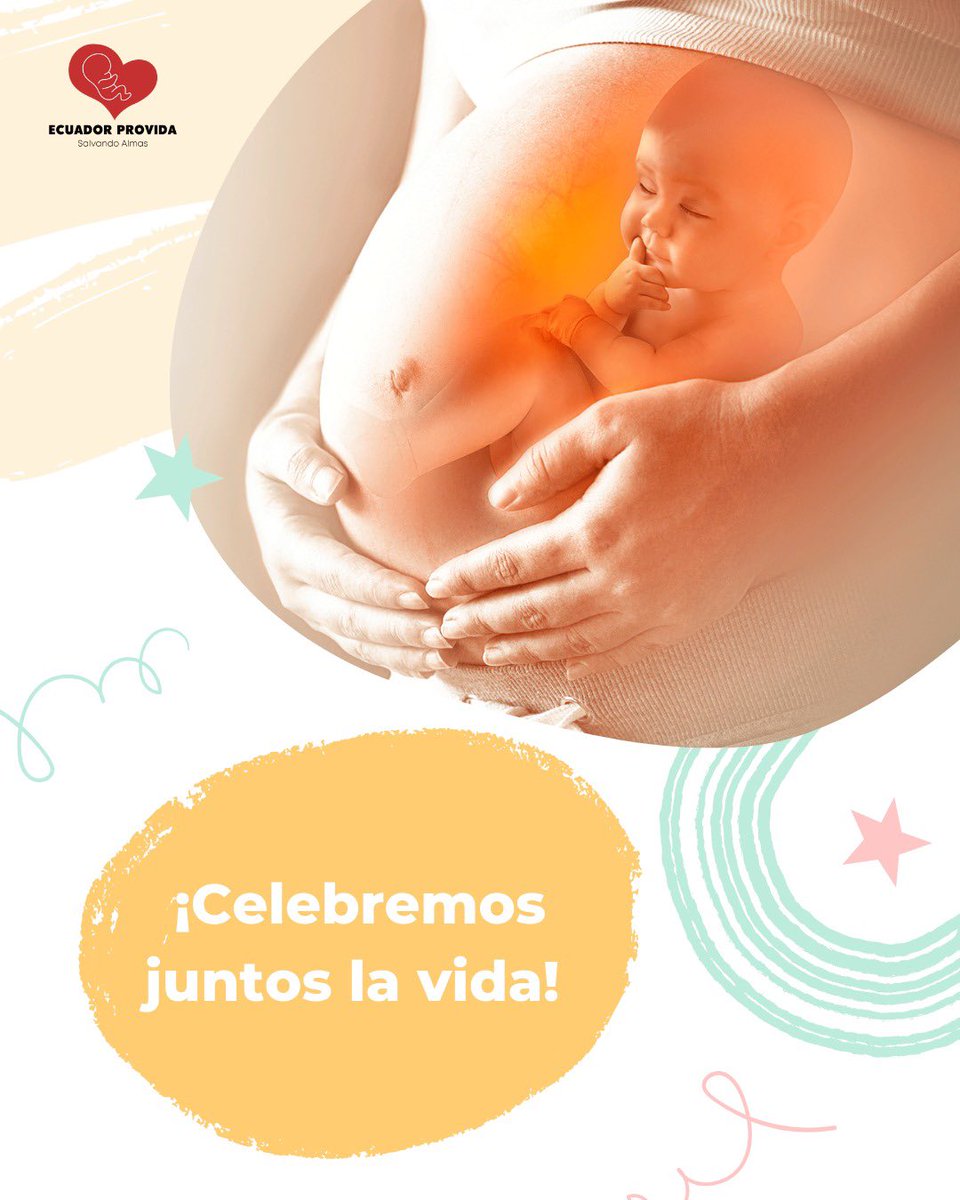 Ecuador Provida tweet media