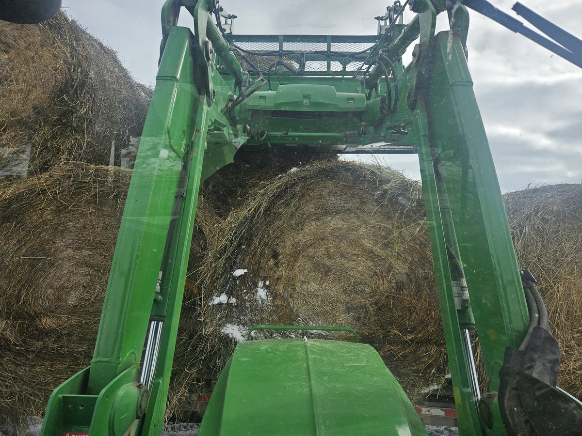 Jerrod Peters tweet media