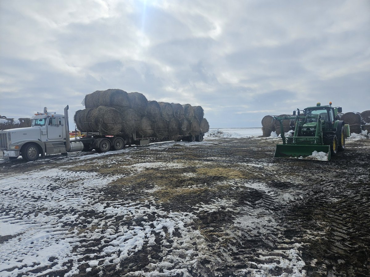 Jerrod Peters tweet media