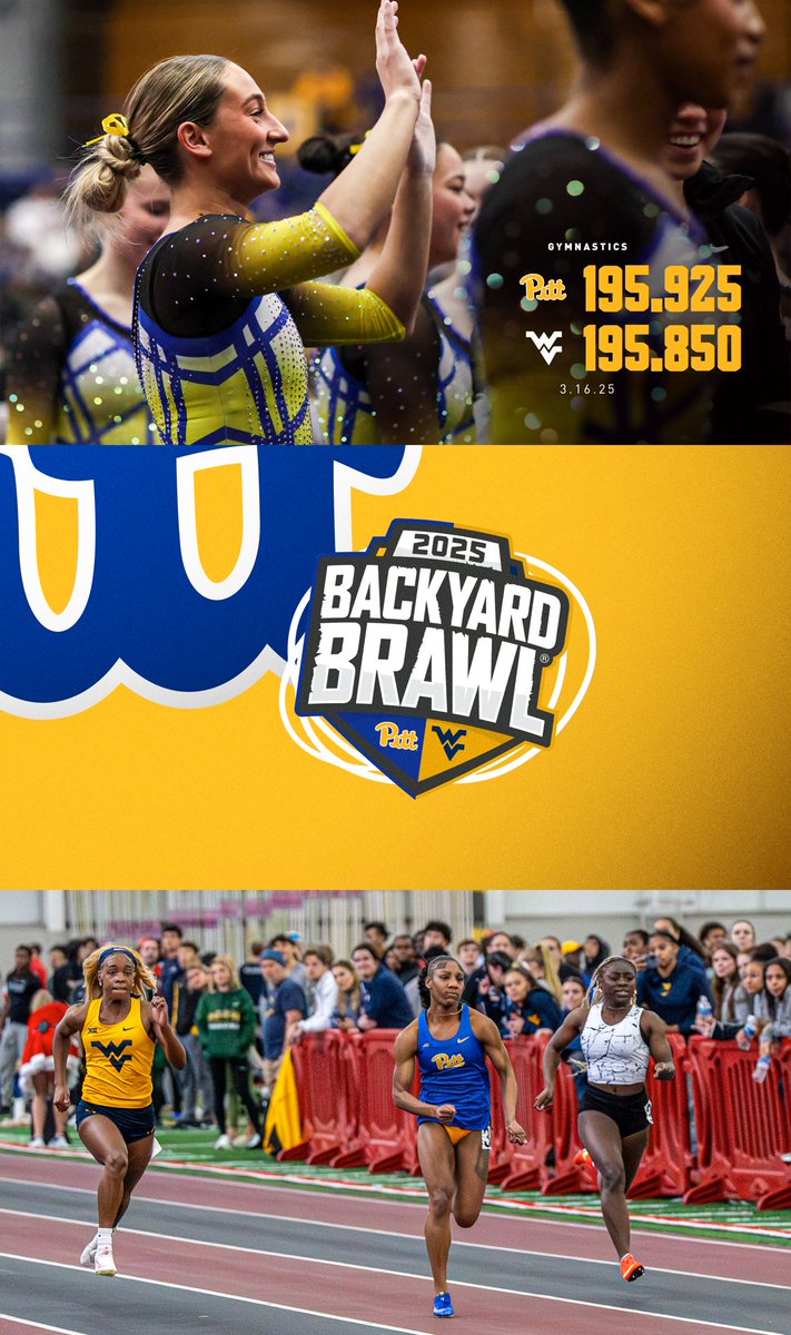 Pitt Panthers tweet media