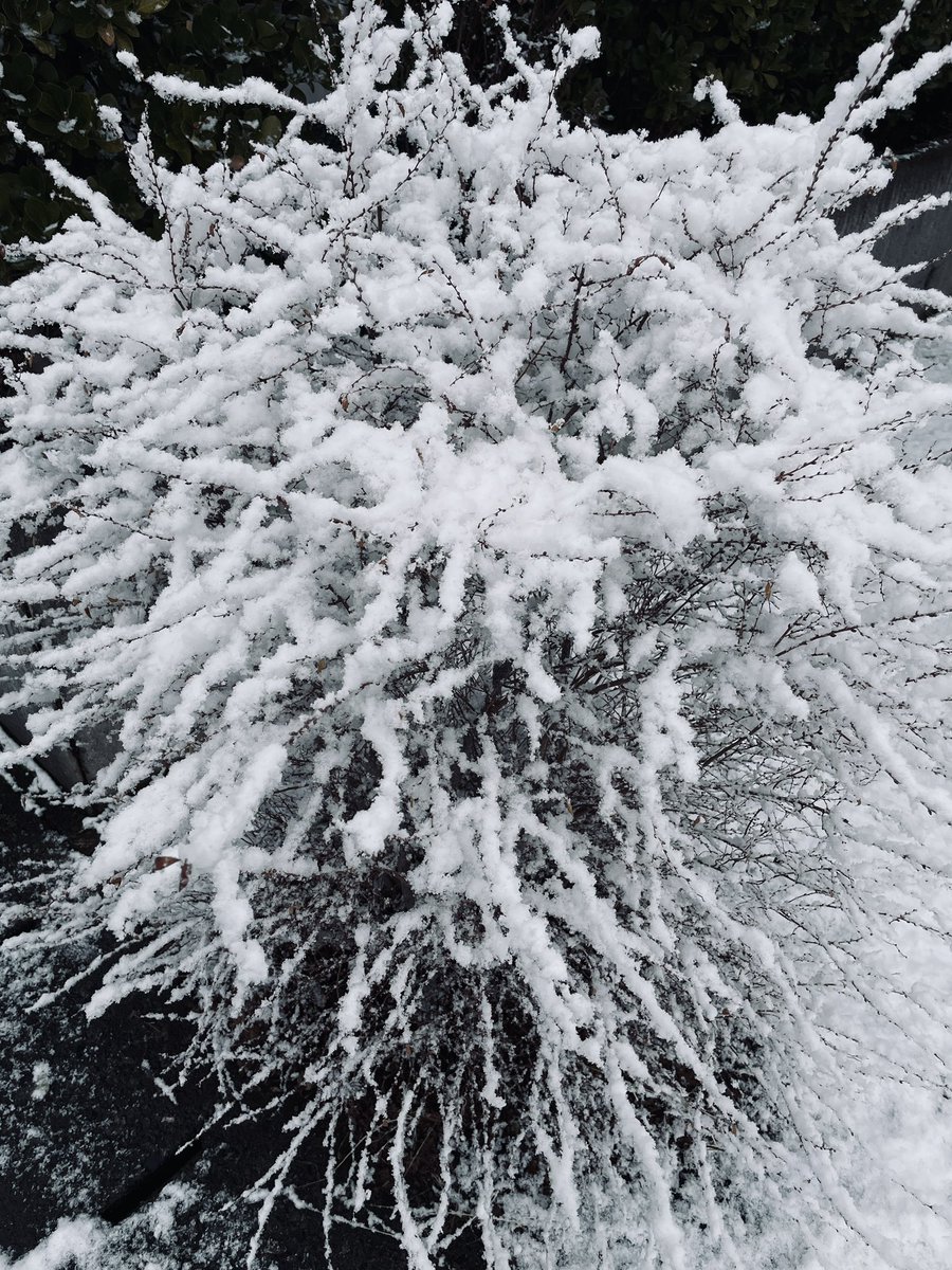 tenryu (@tr_20200502) on Twitter photo 